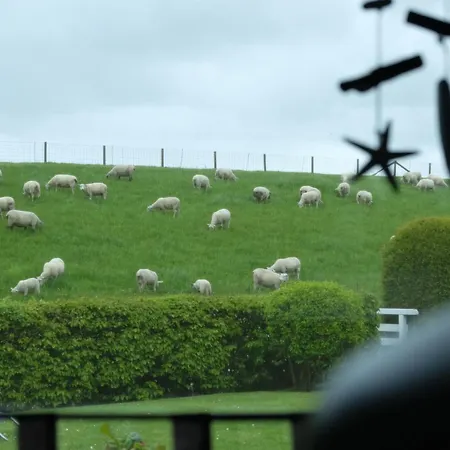 Dom wakacyjny Strandhaus31